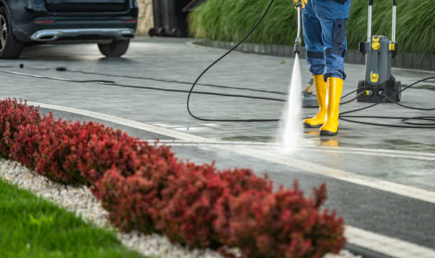 Best Sidewalk and Walkway Cleaning  in Riddle, OR